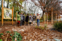 Ennek a képnek nincs leírása.
