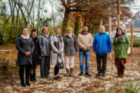 Ennek a képnek nincs leírása.