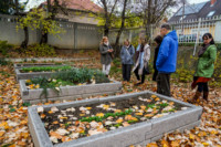 Ennek a képnek nincs leírása.