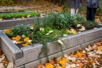 Ennek a képnek nincs leírása.