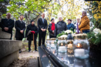 Ennek a képnek nincs leírása.