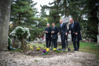 Ennek a képnek nincs leírása.