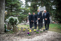 Ennek a képnek nincs leírása.