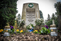 Ennek a képnek nincs leírása.