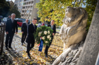 Ennek a képnek nincs leírása.