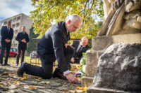 Ennek a képnek nincs leírása.