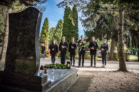 Ennek a képnek nincs leírása.