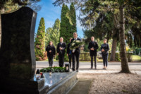 Ennek a képnek nincs leírása.