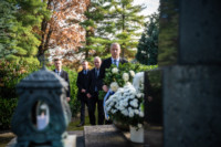 Ennek a képnek nincs leírása.