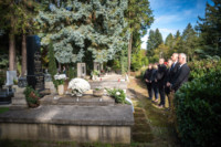 Ennek a képnek nincs leírása.