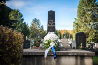 Ennek a képnek nincs leírása.