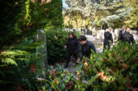 Ennek a képnek nincs leírása.