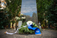 Ennek a képnek nincs leírása.