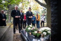 Ennek a képnek nincs leírása.