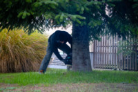 Ennek a képnek nincs leírása.