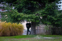 Ennek a képnek nincs leírása.