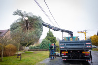 Ennek a képnek nincs leírása.