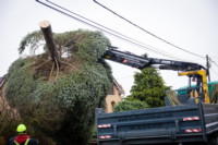 Ennek a képnek nincs leírása.