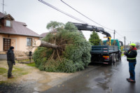 Ennek a képnek nincs leírása.