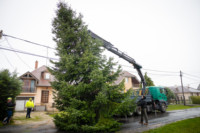 Ennek a képnek nincs leírása.