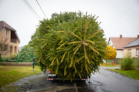 Ennek a képnek nincs leírása.