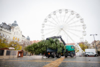 Ennek a képnek nincs leírása.