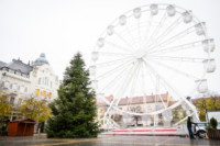 Ennek a képnek nincs leírása.