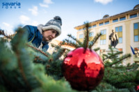 Ennek a képnek nincs leírása.