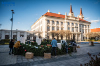 Ennek a képnek nincs leírása.