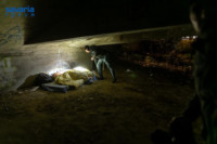 Ennek a képnek nincs leírása.