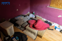 Ennek a képnek nincs leírása.