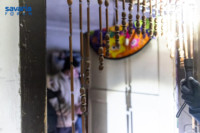 Ennek a képnek nincs leírása.