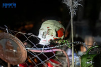 Ennek a képnek nincs leírása.