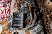 Ennek a képnek nincs leírása.