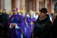 Ennek a képnek nincs leírása.