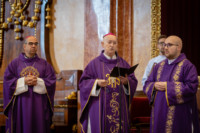 Ennek a képnek nincs leírása.