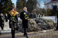 Ennek a képnek nincs leírása.