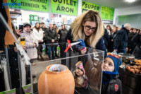 Ennek a képnek nincs leírása.