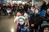 Ennek a képnek nincs leírása.