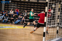 Ennek a képnek nincs leírása.