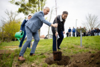 Ennek a képnek nincs leírása.