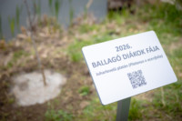 Ennek a képnek nincs leírása.