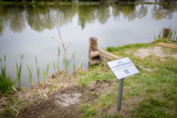 Ennek a képnek nincs leírása.