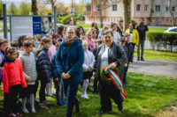 Cím nélküli előnézeti kép. Ennek a képnek nincs leírása.