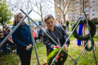 Cím nélküli előnézeti kép. Ennek a képnek nincs leírása.
