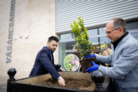 Ennek a képnek nincs leírása.