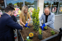 Ennek a képnek nincs leírása.