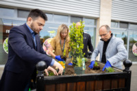 Ennek a képnek nincs leírása.