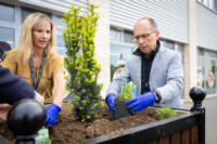 Ennek a képnek nincs leírása.