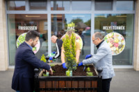 Ennek a képnek nincs leírása.